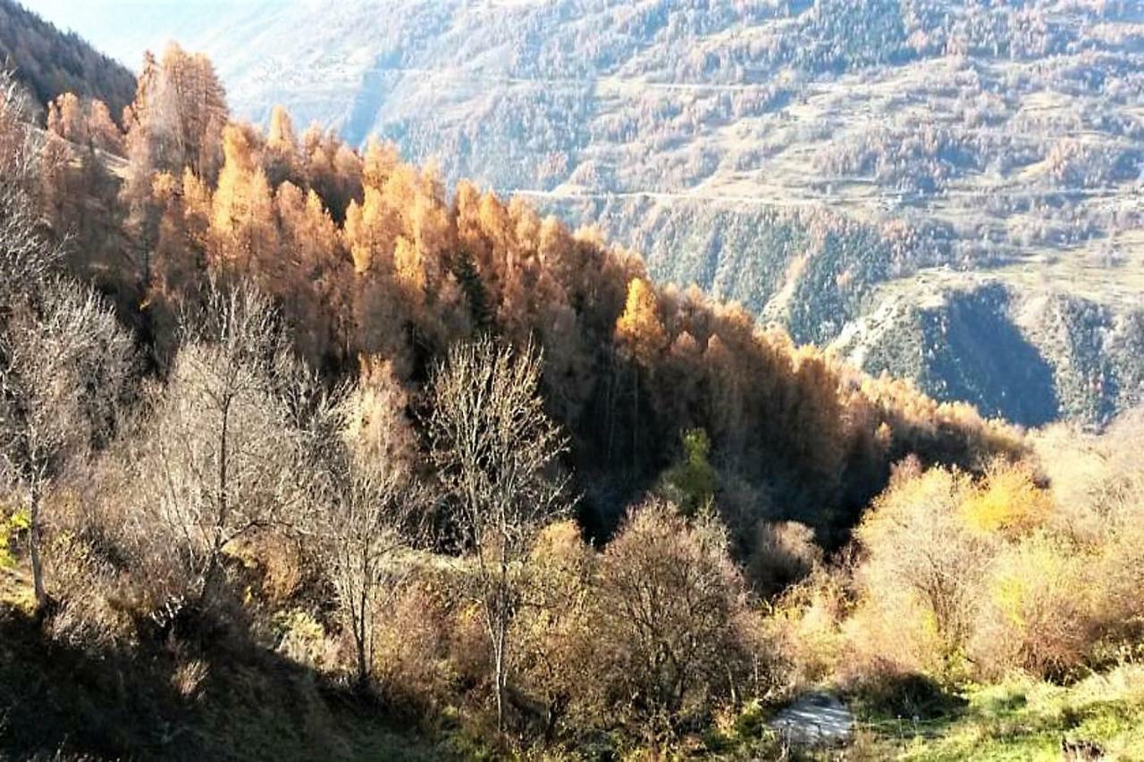 La Chaumiere D'Herens Vernamiège エクステリア 写真
