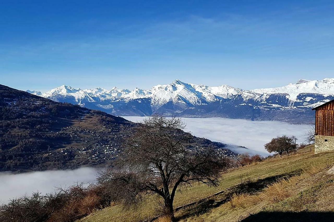 La Chaumiere D'Herens Vernamiège エクステリア 写真